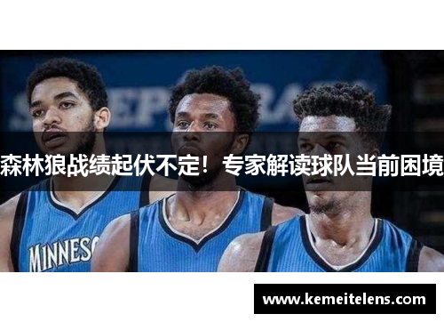 森林狼战绩起伏不定！专家解读球队当前困境