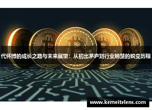 代怀博的成长之路与未来展望：从初出茅庐到行业翘楚的蜕变历程
